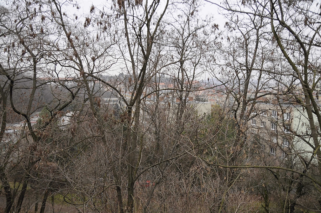 _j090381.jpg