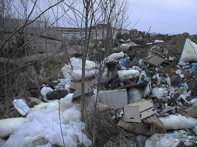 aaa00006.jpg