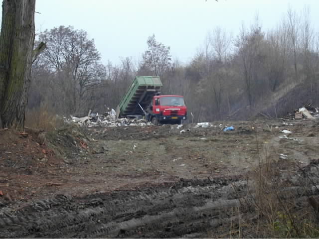 aaaPc060545.jpg